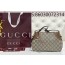 [JHL] 구찌 숄더백 815218 24.5*16*6cm Gucci