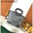 [리미티드] 고야드 벨루가 미니백 그레이 23*8*18.5cm